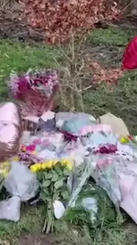 Heartbreaking tributes to mum found dead in park 💔 #birminghamuk #news