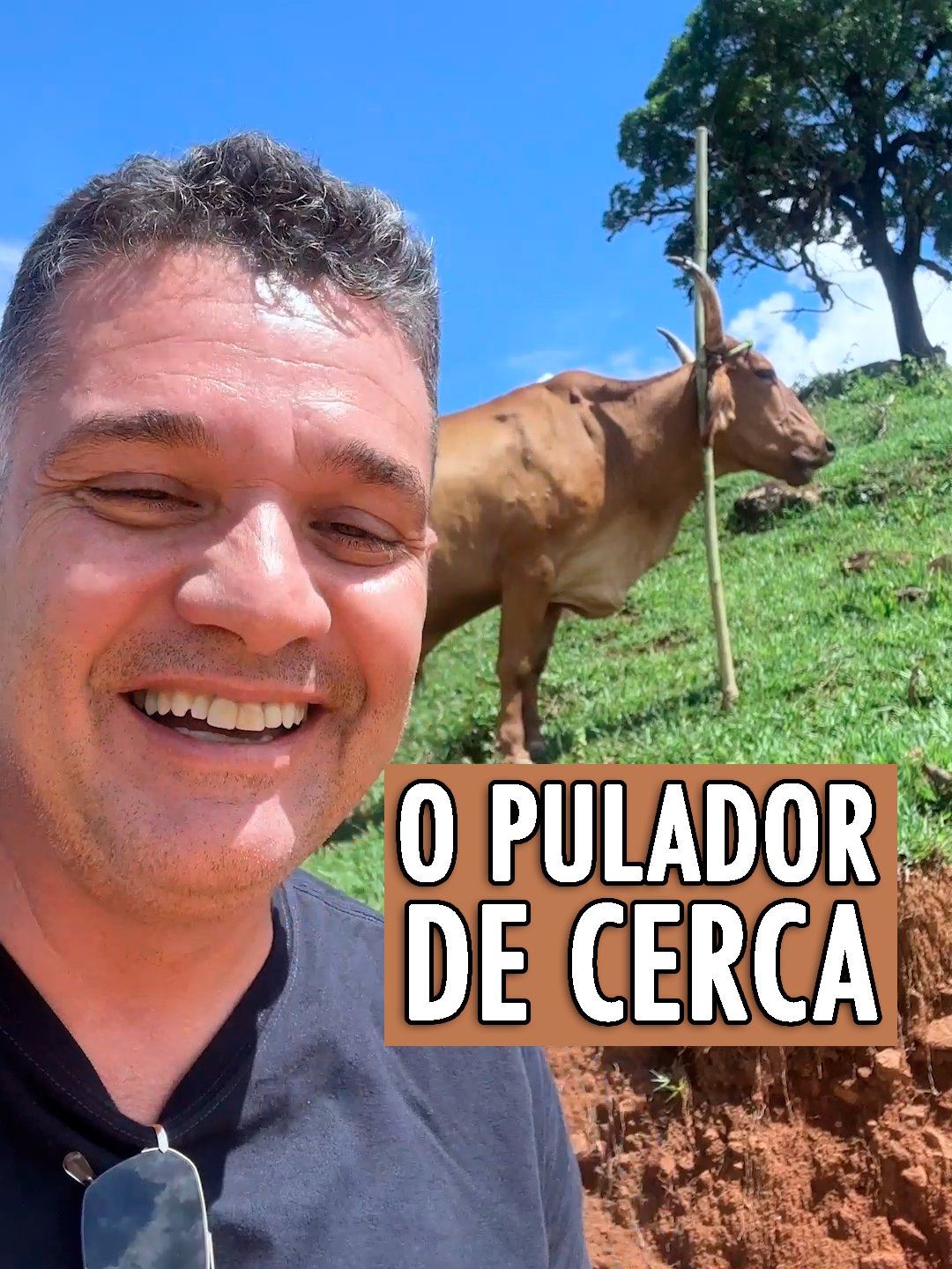 O PULADOR DE CERCA!! #turismo #trip #travel #minasgerais #dicas #curiosidades #fazenda #piracema #ondeirmg #minas #natureza #interior #boi #cerca #causos #causo #tradicao