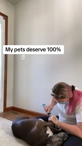The guilt is astronomical  #fypシ #fyp #MomsofTikTok #momlife #sahm #petmom #pets 
