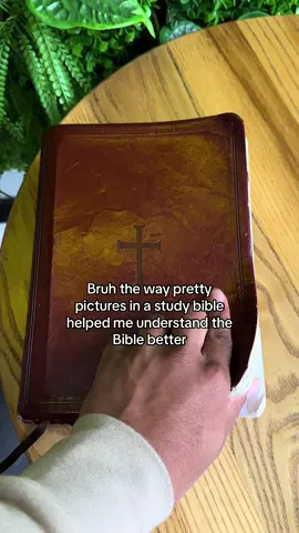 This study bible is a beautiful thing 🙌✝️ #fyp #foryoupage #god #bible #christiantiktok 