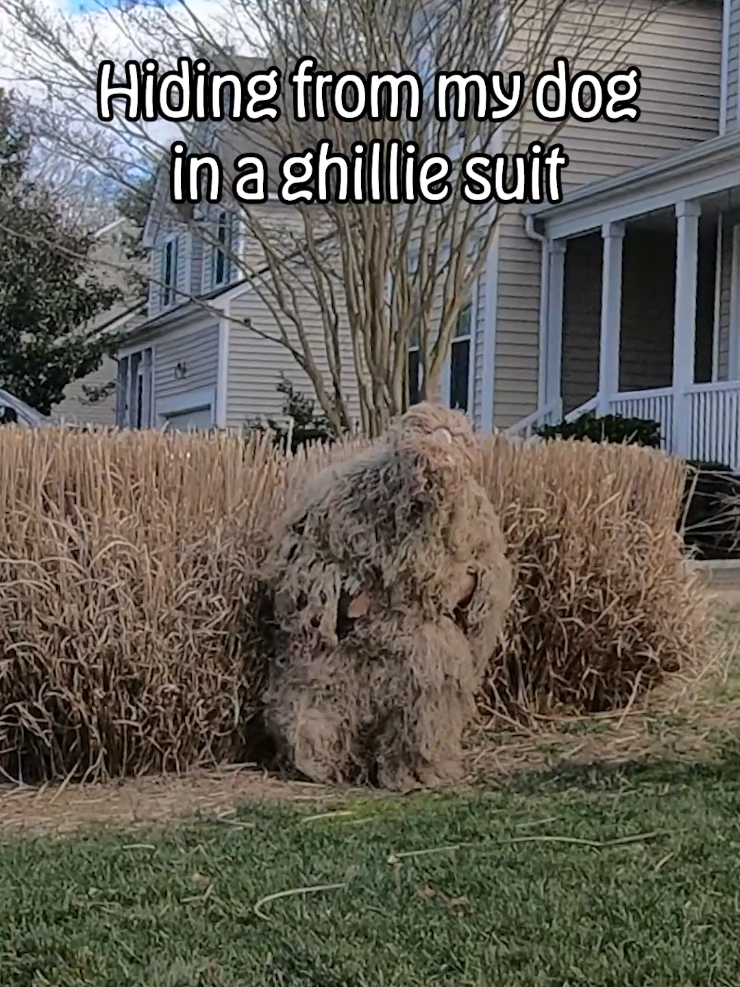 Hiding from my Dog in a Ghillie Suit #hideandseek