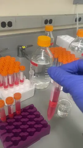 Mastering the art of pipetting is the cornerstone of precision in the lab 🔬✨  From accurate measurements to reproducible results, mastering your pipette technique is essential for every aspiring research scientist  #PipettePerfection #LabLife #ScienceSkills #STEMGrit #gradschoolhustle#gradschoollife #gradschoolgrind #graduateschool#graduateschoollife #graduateschoolofeducation#academicinfluencer #academicinstagram #phdineducation#firstgen #firstgeneration