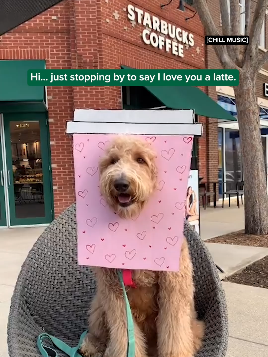 We can't espresso how much we love you, too. 💕🎥: Tyger 🐶 #Starbucks #NationalLoveYourPetDay