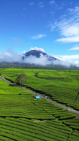 Yang tinggal disini beruntung banget ya.. 📍 Sungai kering - Kayu Aro Barat . . #kayuarokerinci #kerincijambi #kerinci #gunung #kebunteh #gunungindonesia #gunungkerinci #droneshot #djiindonesia #djimini3pro #nature #naturelovers #lanscape #travel #explore #exploreindonesia