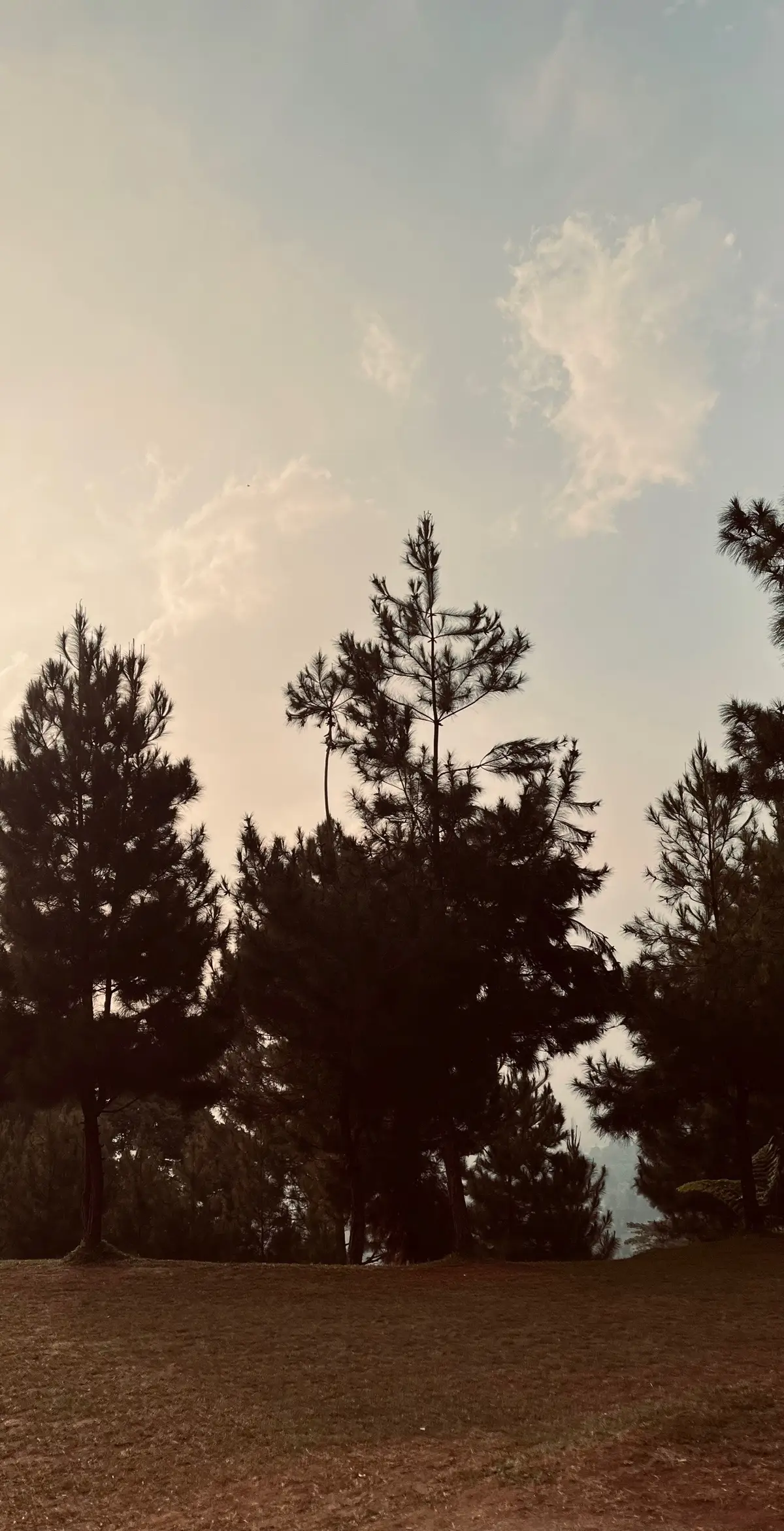 Suka aja fotoin langit yang berawan😌 Silahkan di save untuk di jadikan backgroud qoutes hihiw  #xzybca #fyp #qoutes 