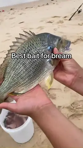 #fishing#moey#lebo#sydney#eshay#junkie
