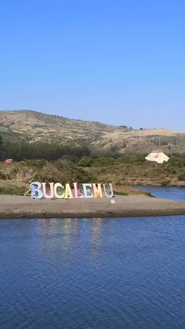 Bucalemu 🌲🌲🌲 #BucalemuChile #Chile #BosqueGrande #Verano2024 #Turismo #RecorriendoChile #EnRuta #Playa 
