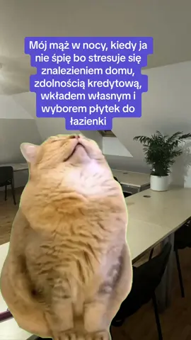 #CapCut #kredythipoteczny #doradcakredytowy #kredyt 