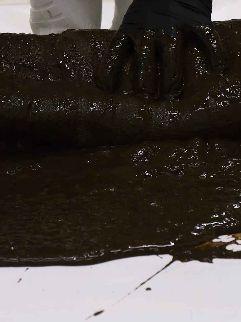 Storm Damaged And Absolutely Caked In Mud! Another Impossible Challenge? Satisfying ASMR Carpet Cleaning. #asmr #carpetcleaning #satisfying #oddlysatisfying #restoration