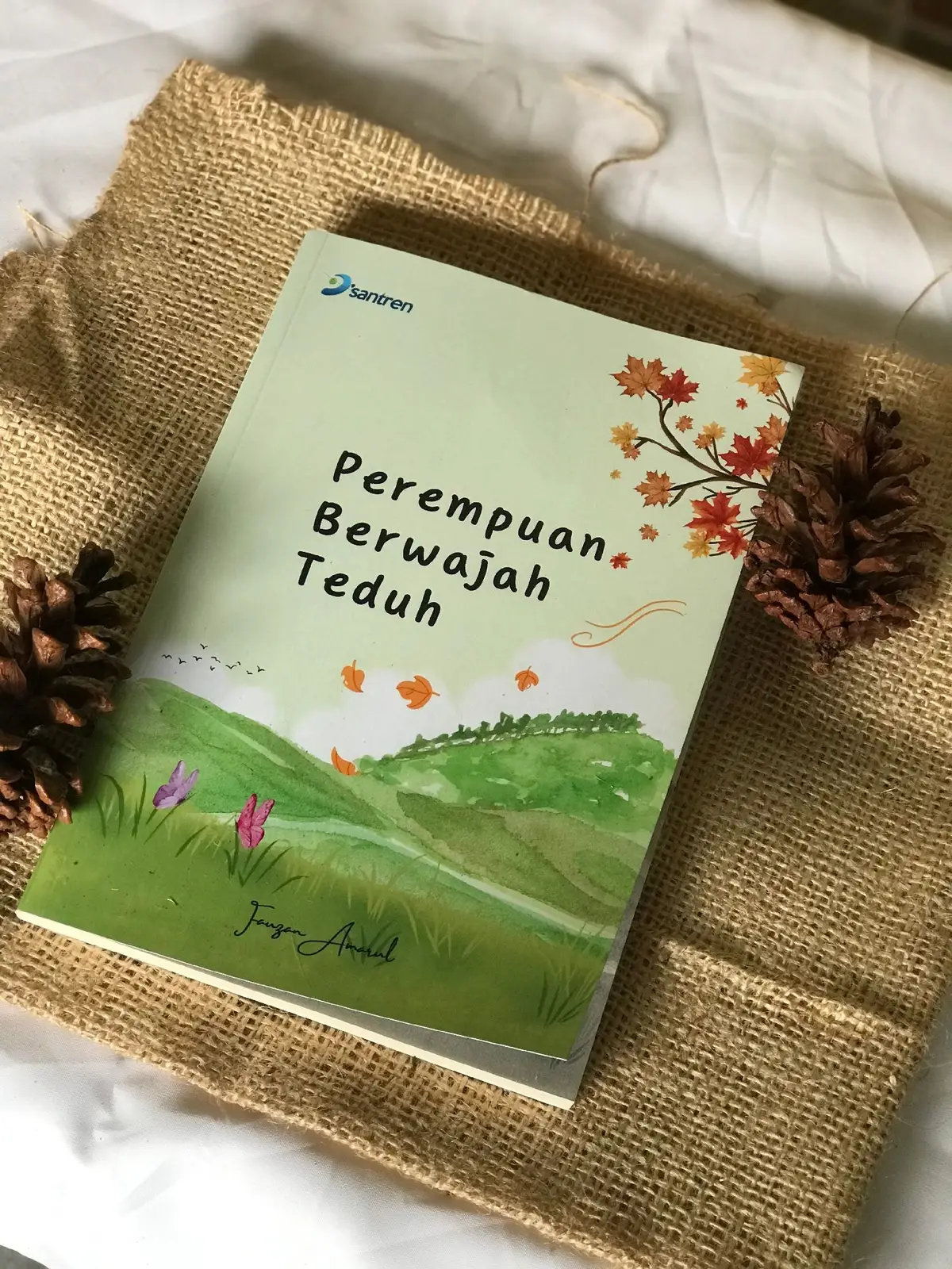 Bukunya di bio ya! #perempuanberwajahteduh #fauzanamarulh 