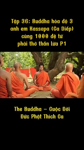 Tập 36 - Phần 1: Buddha hóa độ 3 anh em Kassapa (Ca Diếp) cùng 1000 đệ tử phái thờ thần lửa #cuocdoiducphatthichca  #thichcamauniphat  #phatphapnhiemmau #taitv369 #Tiktok2024 