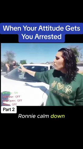 When Your Attitude Gets You Arrested