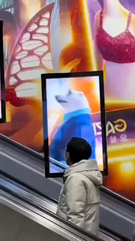 Shanghai Disney Resort used #mixedreality to promote the Zootopia Concert. 🐻‍❄️ #experientialmarketing #streetmarketing #outdoormarketing #creativeads 