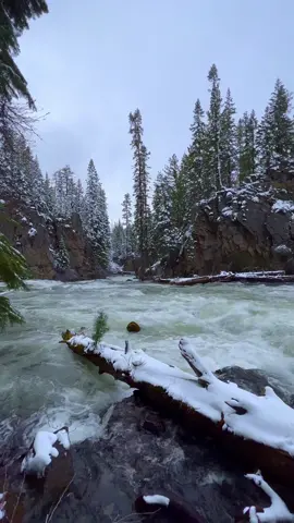 Embracing the fierce beauty of winter's grip, where the river rages against the snowy banks 🤩 #river #riverscape #riverrapids #snow #winter #shotoniphone #god #naturespower #oregonexplored #pnwcollective 