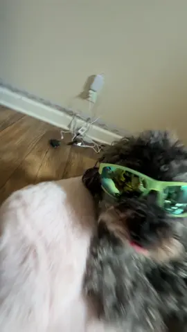 watch out ladies 