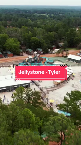 Hey, Hey, Hey! Did you know there is a Yogi Bear™ themed Campground just 90 minutes from Dallas?! ⛺️ At @jellystonetyler, you can Camp (or Glamp!) and enjoy a wide variety of on-site resort amenities, activities, and of course, Jellystone Park’s massive heated water playground - opening for their Spring Break (March 8-17)! Jellystone Park™ is the perfect way to get outside with your family and enjoy the fresh air on 107 acres of East Texas Piney Woods, just 1.5 hours from Dallas! Jellystone Park’s lodging options have something for everyone - from rustic to luxury and everything in between! Discover a wide variety of newly renovated accommodations, including: 🐻 Boo Boo™ Bunkhouse - Sleeps 20!  🧸 Three Bears Lodge - Sleeps 16 🏠 A Variety of Comfy Cabins: Sleeps 4-15  🏕️ Tent Sites 🚐 RV Sites  …and more! No matter what camping style you choose, you’ll have access to the many memorable amenities that make Jellystone Park™ a favorite for families!  Every stay @jellystonetyler features nonstop fun from dawn til dusk, including;  🌊 NEW Heated Water Playground - Opens 3/8 💧Swimming Pool 🏖️ Spa Tub ⛳️ 9 Hole Mini Golf Course 💥 Laser Tag 💎 Gem Mining 🫧 Foam Party 🛝 Playground 🏀 Sports Courts & Horseshoes 🗺️ Scavenger Hunts & Mazes 🚜 “Hey, Hey, Hey” Rides 🌳 Nature Trails   🎤 Karaoke 🎣 Fishing Pond …plus tons of fun with Yogi Bear™ & Friends! 🐻 Camping reservations can be made at jellystonetyler.com. 📍 5583 FM 16 East, Tyler #dallas #dallasdiscovered #jellystonepark #jellystonetyler #waterpark #dfw #dfwgetaways #tylertx #ad 