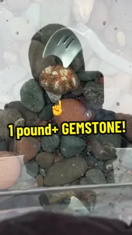 I found a 1 pound+ Agate (GEMSTONE) in Lake Superior!! #agatedad #agate #gemstone #lakesuperior