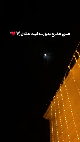 #شطبنا_اسم_العاريس_من_دفتر_العزوبيه 