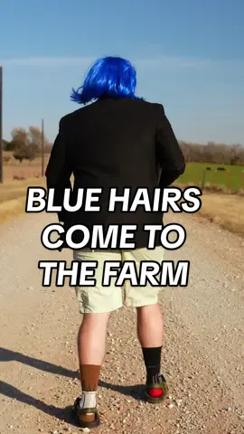 BLUE HAIRS COME TO THE FARM 😳