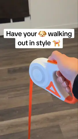 The best purchase we've made this year  . . . #fyp #tiktokshop #dogsoftiktok #chiweeenie #leddogleash #dog 