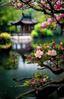 TING - 過火  張瑋伽 Guo Huo V2 ( Happy Anniversary Mrr Za & Mss Mary ) Electro House Remix 2022 [ The Black Team ]