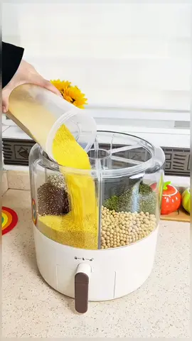 Một cái thùng tiện quá đựng hẳn 6 loại hạt khác nhau 🥰🥰🥰 #đồgiadụng #giadungnhabep #giadung #dogiadung #muasam #giadungtienich #followers➕ #giadungthongminh #phunu  #đồgiadụngnhàbếp #muatiktok 
