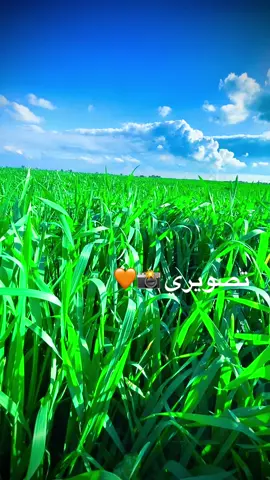 تصويري📸❤️#explore#مشاهدات#viraivideo#_vy#capcUt#viral#viraltikiok#.  شلون المك 💔#