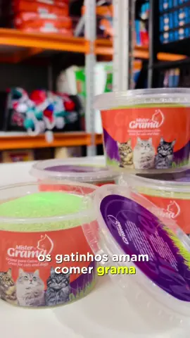 Grama para o seu Pet! 🐾 #pets #pet #petshop #banhoetosa #gramagato #cat #gatos 