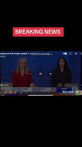 #breakingnews #news #demsmithgirls2 #demsmithgirls #fyp #foryoupage #foryourpage 