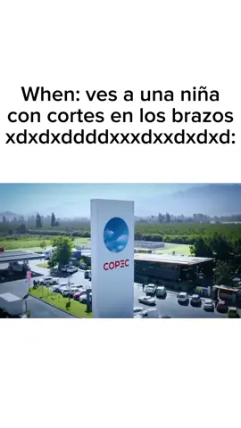 NO SÉ QUE HICE 😭 #hola #codigodebarra #copec #chile🇨🇱 #tiktokponmeenparati #fypシ #parati 