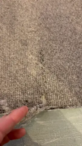 Drink up you’ve pulled!! #carpetrepair Damage right in the doorway of this beautiful home!! Time to work some magic!! #fix #carpet #carpetpull #damage #carpetrepair #savemoney #kent #london #results #happy #happydays 