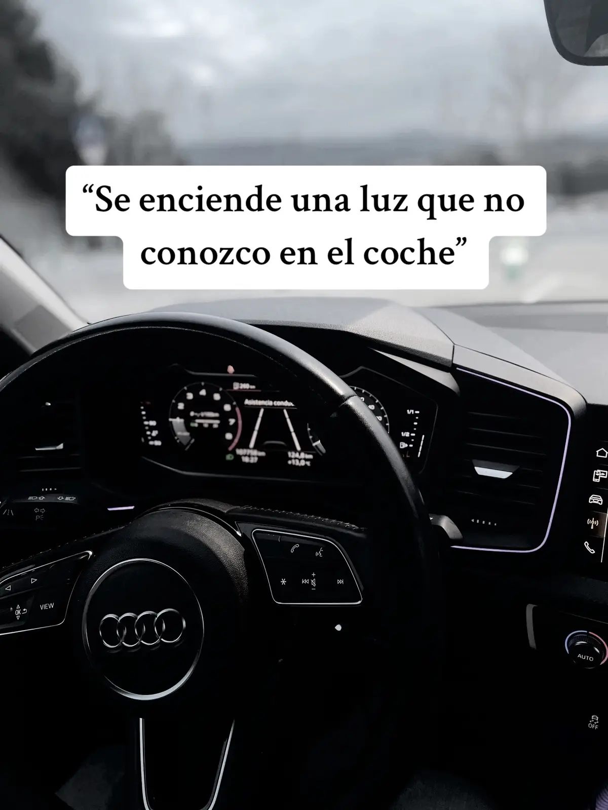 Sí soy! 🥲🤣 #fyp #parati #viral #conducir #coche #audi #call #llamada #coquette #yo #me #carnet #humor #fypシ #foryou #car #dramaqueen 