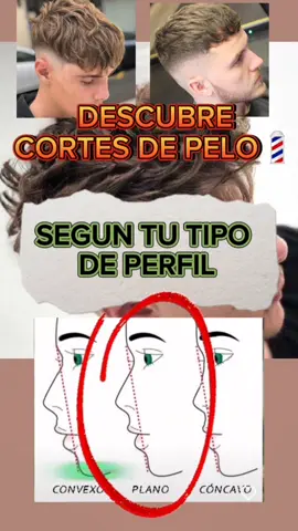 #barbershop #barberlifestyle #barbervisagismo #visagismo #barberperu #barberecuador🇪🇨 #barberargentina #barberchile #barbervenezuela #barberuruguay #barberpanama #barberrd🇩🇴 #rd #fyp #viral #fringe #sideparthairstyles #blowout #taperdesign 