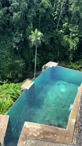 Views 🍃 #villa #ubud #infinitypool #nature 