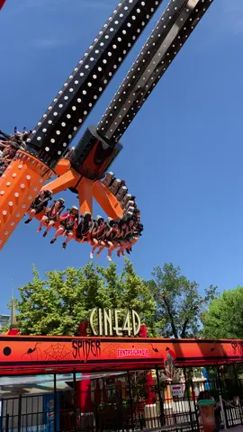 Spider Fantasilandia 🕷️🕸️🔥 #fantasilandia #spider #zamperla #zamperlarides #themepark #parquedeatracciones #parquedediversiones #atraccion #atracciones #ride #rider #park #chile #fypシ #fyp 