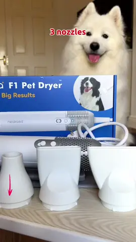 Shiro the dog puts the Neabot Neakasa F1 Pet Dryer to the test! 🐶💨✨ featuring @shirothebuddy ✨ Customizable Speed Settings: 2 speed options for fast drying, styling, & diffusing. 🌡 Customizable Heat Settings: 4 heat settings for tailored temperature control. 🌟 Interchangeable Nozzles: Choose from three nozzles to suit your pet's body type. 🔇 Quiet Operation: Low noise levels ensure a calm and relaxing grooming experience. ⏱️ Fast Drying: Shiro's coat dried in just 15 minutes with the powerful airflow, considering that he has a fluffy thick coat! 🏋️‍♂️ Lightweight Design: Weighing only 1.2 lbs, it's easy to handle during grooming sessions. Say hello to stress-free grooming and hello to a happier, fluffier pet! 😉 Tap product link & SHOP NOW! 🛒 #sgdogs #sgcats #catsofsingapore #dogsofsingapore #singaporedogs #singaporecats #neakasa #neabot #neakasaf1 #neakasaf1dryer #neakasafuriends #neakasapets #petdryer #petgrooming 