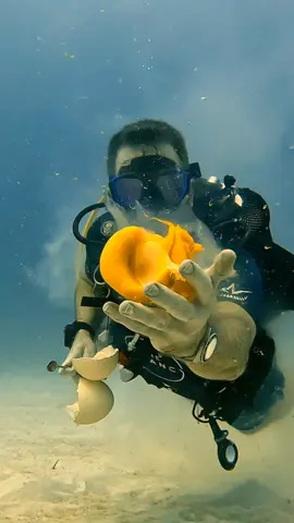 Cracking open An Ostrich Egg 20 meters deep  Underwater #viral #egg #food #amazing #science 