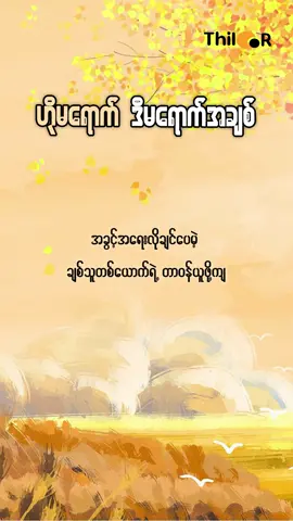 ဟိုမကောက် ဒီမရောက်နဲ့ အချိန်ကုန်တယ် #relationshiptips #tiktokmyanmar #womenempowerment #thilar #thi_lar #Lifestyle #အချစ် 