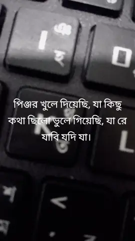 পিঞ্জর খুলে দিয়েছি, যা কিছু কথা ছিলো ভূলে গিয়েছি, যা রে যাবি যদি যা।।।।। #tktok #foryoupage #amibadboybandhan #winter2023 #bangladesh😁😁😁 #bdtiktokofficial🇧🇩 #ভাইরাল #ভাইরাল_ভিডিও #foruhouse #bangla 