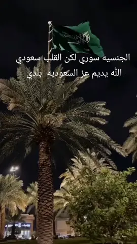 #يوم_التأسيس #القلب #fypシ゚viral #عاشت #السعودية #💔🥀 
