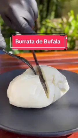 🧀🥇✨ Desvende o segredo por trás da burrata de búfala da Fazenda Pérola da Serra, em Itanhandu, Minas Gerais.  Premiada com a medalha de prata no Concurso Nacional de Queijos de Búfala “Marajós Búfalos” em 2019 e o ouro no Prêmio Queijo Brasil em 2023, esta iguaria artesanal é uma verdadeira obra-prima.  Sua textura sedosa e centro cremoso se fundem delicadamente, liberando nuances de sabor que envolvem todos os sentidos. Deixe-se levar por esta experiência sensorial única.  Encomende já a sua peça de aproximadamente 280g pelo nosso site e mergulhe no mundo encantador dos queijos premiados!  #BurrataDeBúfala #QueijoArtesanal #Premiado #Fusqueijão #MinasGerais