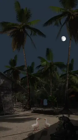 Nhà tranh vách lá 🛖🌙🍃#anyen #annhien #hoainiem #dem #quenha #tuoitho8x9x #tuoitho #mientaysongnuoc #cuocsongmientay #mientay #65cantho #mientayquetoi #cantho 