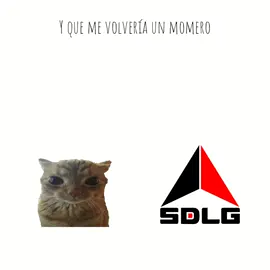 YO ERA SEGUIDOR DE LA GRASA - LA GRASA SDLG dedicación a:@AÑEC #parati #fyp #fypシ #fypシ゚viral #viral #lagrasa #momazos #cat #song #musica 