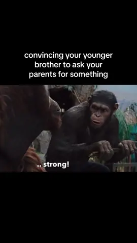 bonding moment🦧 #planetoftheapes #fyp #meme #comedy #fyyyyyyyyyyyyyyyy #Siblings #parents #apes #togetherstrong 