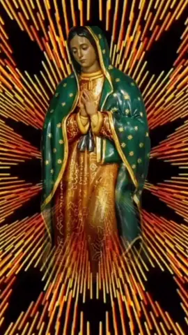 #Pide un #milagro #imposible a la #virgencitadeguadalupe🌹🙏❤️ y te será #concedido #oracion #poderosa #fee #🙏🙌🌹 #gracias  #madreDios #madrenuestra #fyeeeeeeeeeepppppp #CapCut 