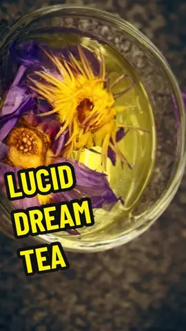 LUCID DREAM BETTER WITH BLUE LOTUS FLOWER #bluelotus #bluelotusflower #natural #herbaltea #luciddreams 