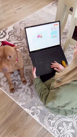 #ad @ZoetisPetcare has lots of vet-approved resources to help you be the best pawrents you can be, like a Dog-Proofing Checklist for your home. Check out the link in my bio so you can do it too! #thisispetcare #tatumtalks