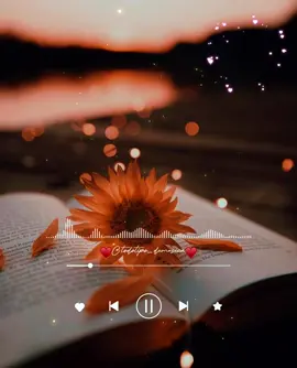 Ay, amor, apareciste en mi vida Y me curaste las heridas 🥰😍♥️ #joyhuertaymana #eresmireligión #musica #letras #canciones #bonitas #parati #amor #enamorados #romanticasinolvidables 