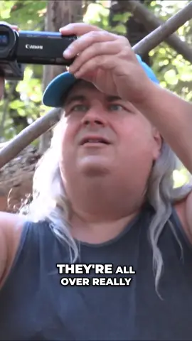 New Clip from.the Gift Of Sight  it's a Sasquatch Party #movie #cryptid #sasquach 