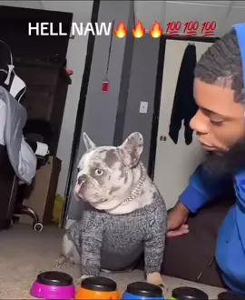 HELL NAW💪💪🔥🔥🔥🗣️🗣️🔊🔊 #hellnaw #dog #button #treat #fyppppp